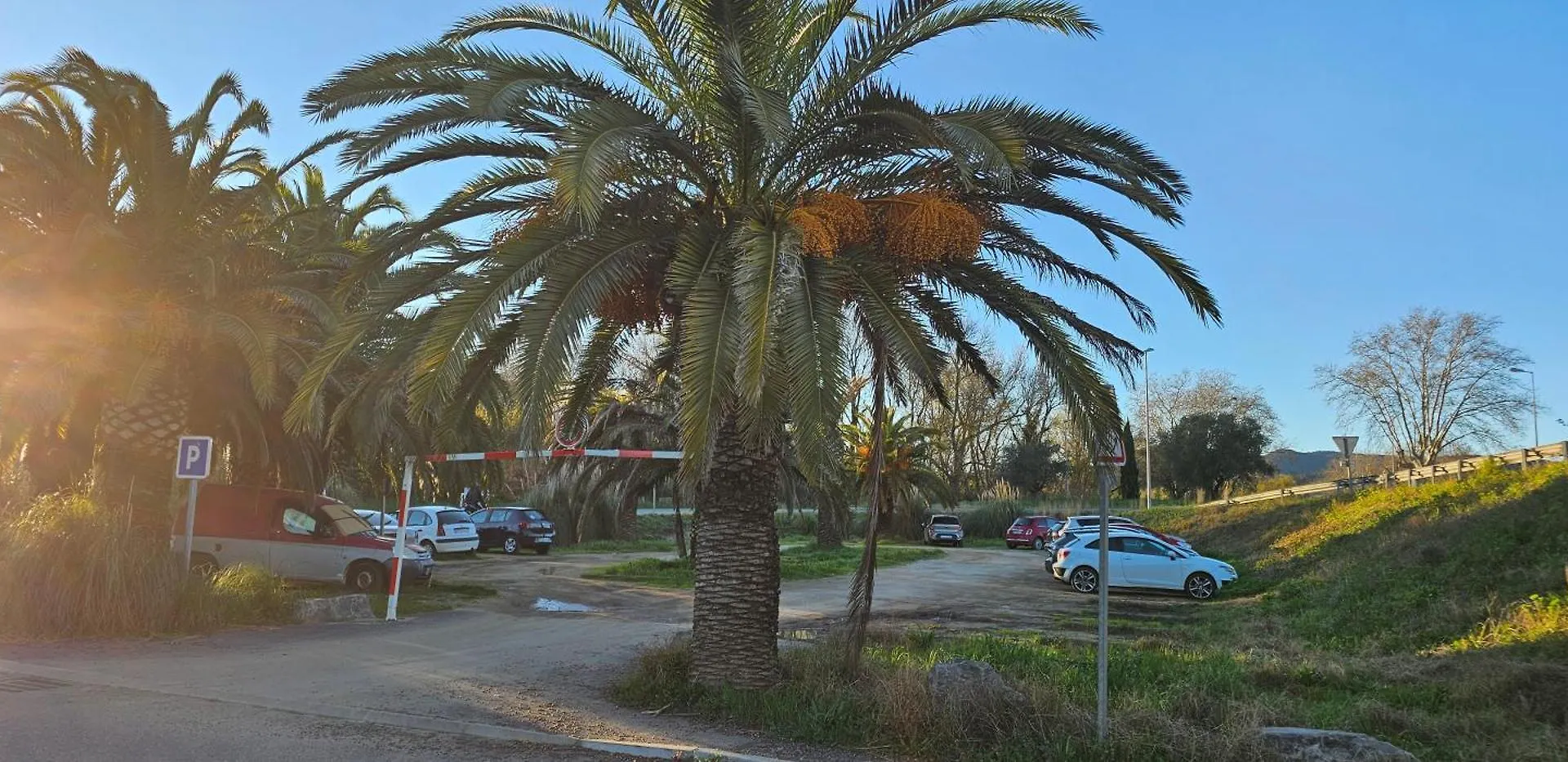Lemon House Location With View Apartment Cogolin